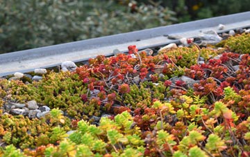 the cost of Shepeau Stow green roof installation